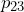p_{23}